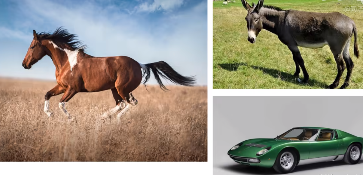 image-20240627111036662